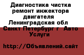 Диагностика чистка ремонт инжектора двигателя - Ленинградская обл., Санкт-Петербург г. Авто » Услуги   